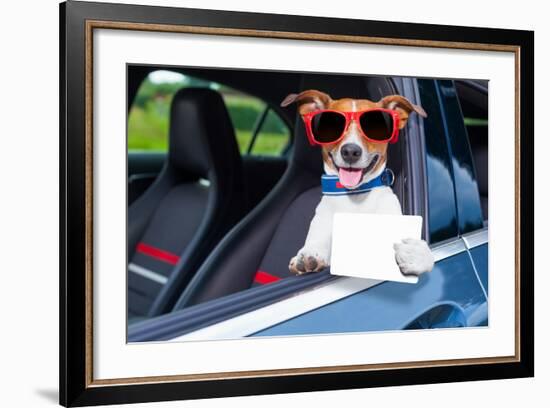 Dog Drivers License-Javier Brosch-Framed Photographic Print