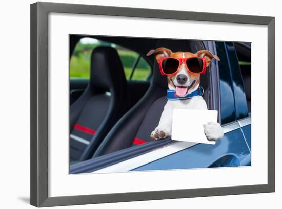 Dog Drivers License-Javier Brosch-Framed Photographic Print