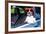 Dog Drivers License-Javier Brosch-Framed Photographic Print