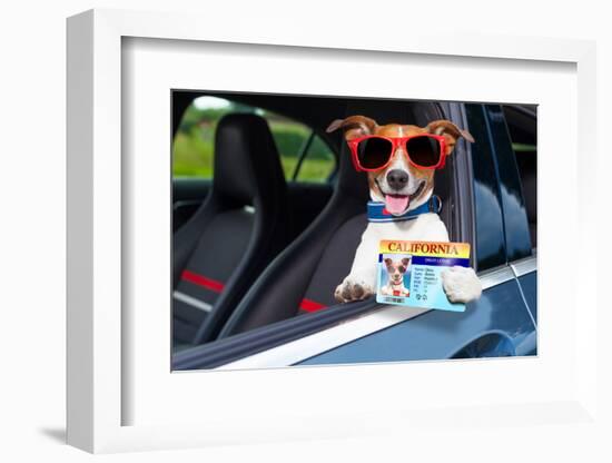 Dog Drivers License-Javier Brosch-Framed Photographic Print