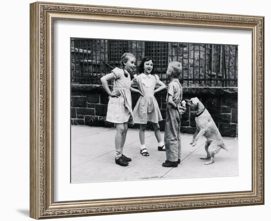 Dog Eating Ice Cream Cone Hidden behind Boy's Back-William Milnarik-Framed Photographic Print