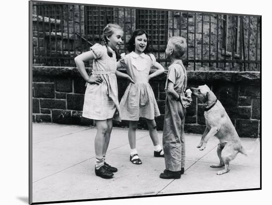 Dog Eating Ice Cream Cone Hidden behind Boy's Back-William Milnarik-Mounted Photographic Print