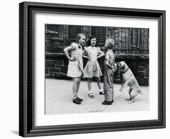 Dog Eating Ice Cream Cone Hidden behind Boy's Back-William Milnarik-Framed Photographic Print