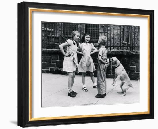 Dog Eating Ice Cream Cone Hidden behind Boy's Back-William Milnarik-Framed Photographic Print