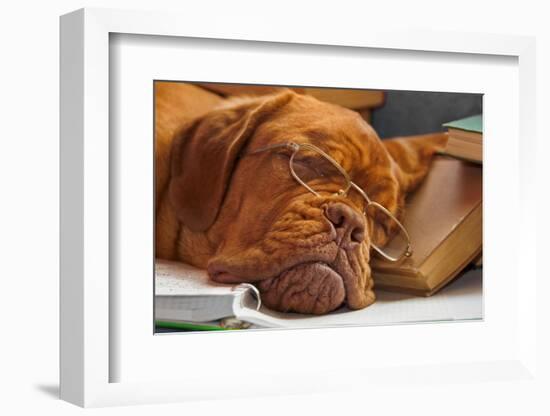 Dog Education Funny Abstract Image-vitalytitov-Framed Photographic Print