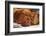 Dog Education Funny Abstract Image-vitalytitov-Framed Photographic Print