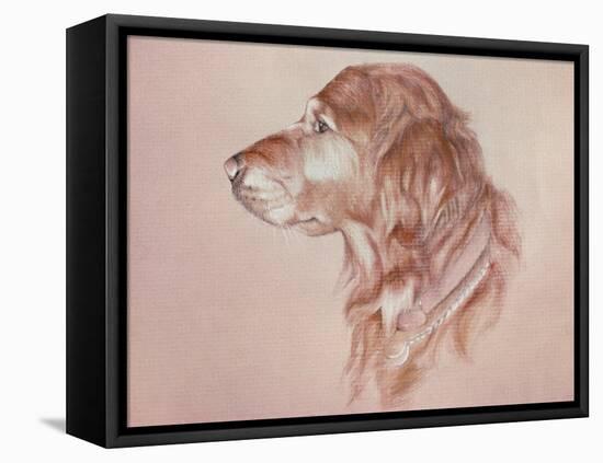 Dog Eight-Rusty Frentner-Framed Premier Image Canvas