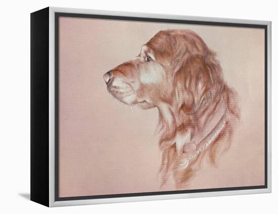 Dog Eight-Rusty Frentner-Framed Premier Image Canvas