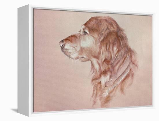 Dog Eight-Rusty Frentner-Framed Premier Image Canvas