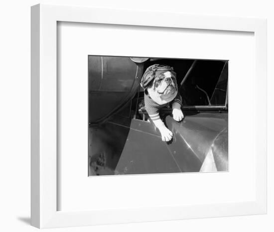 Dog Flying in Aircraft-Bettmann-Framed Photographic Print