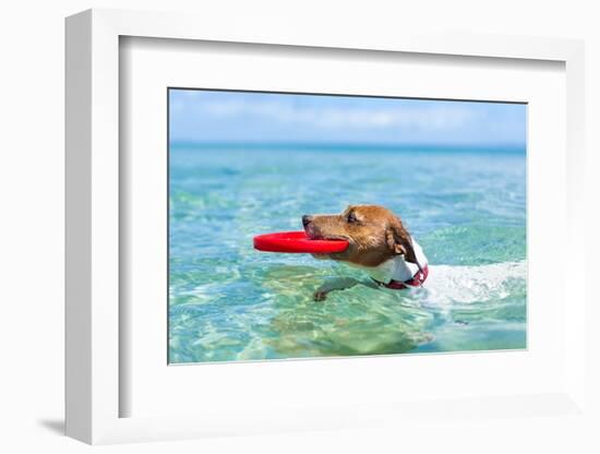 Dog Frisbee-Javier Brosch-Framed Photographic Print