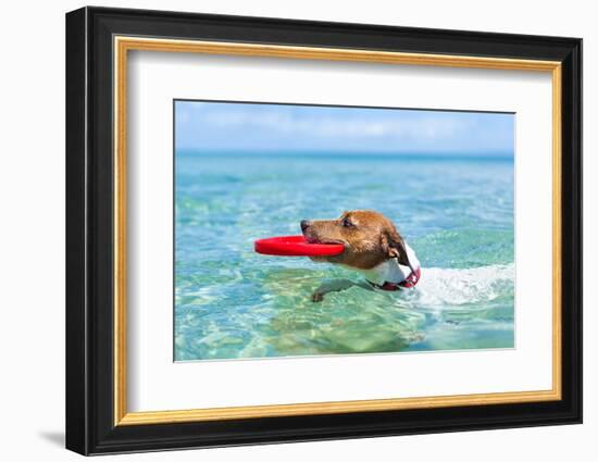 Dog Frisbee-Javier Brosch-Framed Photographic Print