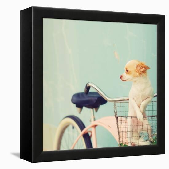 Dog Gone-Mandy Lynne-Framed Stretched Canvas