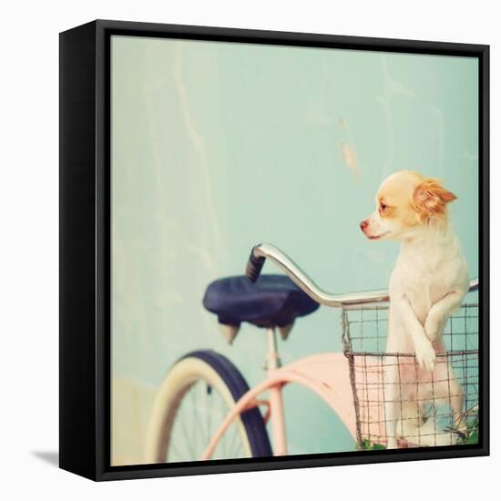 Dog Gone-Mandy Lynne-Framed Stretched Canvas