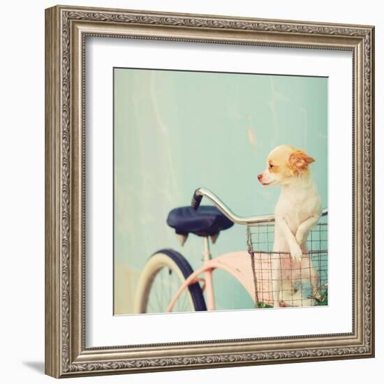 Dog Gone-Mandy Lynne-Framed Art Print