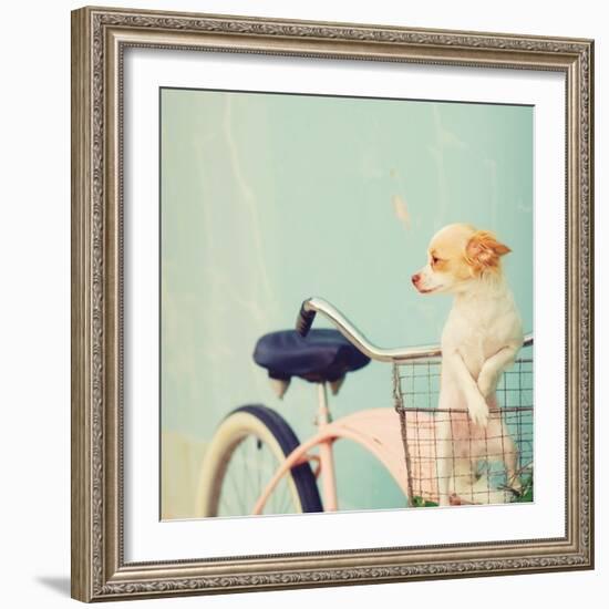 Dog Gone-Mandy Lynne-Framed Art Print