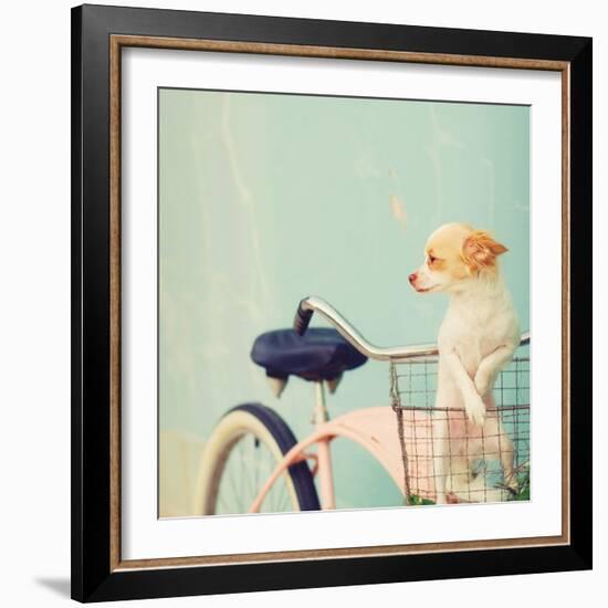 Dog Gone-Mandy Lynne-Framed Art Print