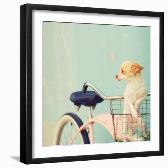 Dog Gone-Mandy Lynne-Framed Art Print