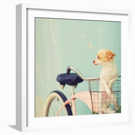 Dog Gone-Mandy Lynne-Framed Art Print