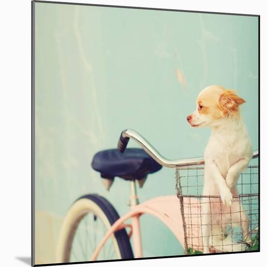 Dog Gone-Mandy Lynne-Mounted Art Print