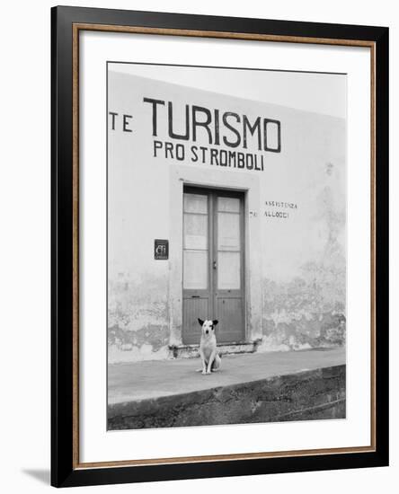 Dog Guarding a Tourist Office-Jerry Cooke-Framed Photographic Print