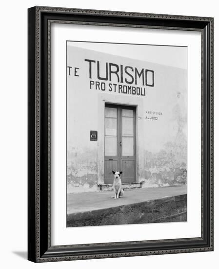 Dog Guarding a Tourist Office-Jerry Cooke-Framed Photographic Print