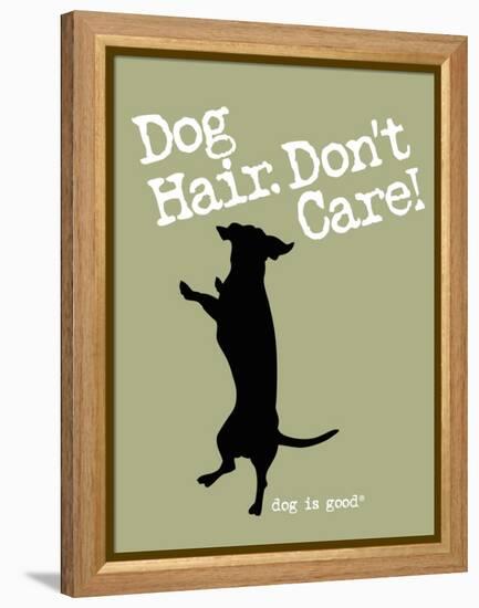 Dog Hair Dont Care-Dog is Good-Framed Stretched Canvas