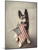 Dog Holding American Flag in Mouth-Robert Llewellyn-Mounted Photographic Print