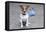 Dog Homeless-Javier Brosch-Framed Premier Image Canvas