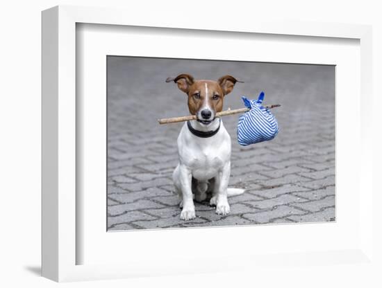 Dog Homeless-Javier Brosch-Framed Photographic Print