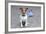 Dog Homeless-Javier Brosch-Framed Photographic Print