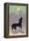 Dog Howls at the Full Moon-null-Framed Premier Image Canvas