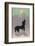 Dog Howls at the Full Moon-null-Framed Photographic Print