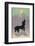 Dog Howls at the Full Moon-null-Framed Photographic Print