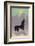 Dog Howls at the Full Moon-null-Framed Photographic Print