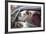 Dog in a Car-aerogondo2-Framed Photographic Print