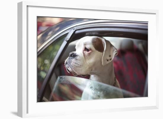 Dog in a Car-aerogondo2-Framed Photographic Print