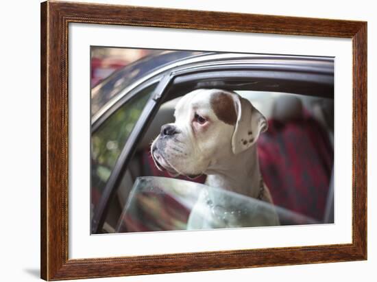 Dog in a Car-aerogondo2-Framed Photographic Print