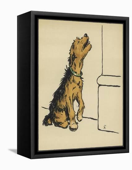 Dog in a Green Collar-Cecil Aldin-Framed Premier Image Canvas