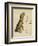 Dog in a Green Collar-Cecil Aldin-Framed Photographic Print