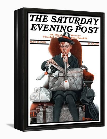 "Dog in Basket" or "Stowaway" Saturday Evening Post Cover, May 15,1920-Norman Rockwell-Framed Premier Image Canvas