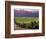 Dog in Knutsen Vineyard, Willamette Valley, Oregon, USA-Janis Miglavs-Framed Photographic Print