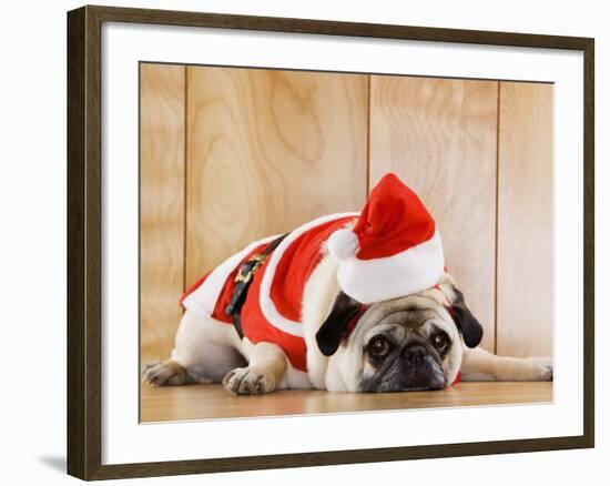 Dog in Santa Suit-Don Mason-Framed Photographic Print