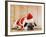 Dog in Santa Suit-Don Mason-Framed Photographic Print