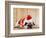 Dog in Santa Suit-Don Mason-Framed Photographic Print