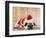 Dog in Santa Suit-Don Mason-Framed Photographic Print