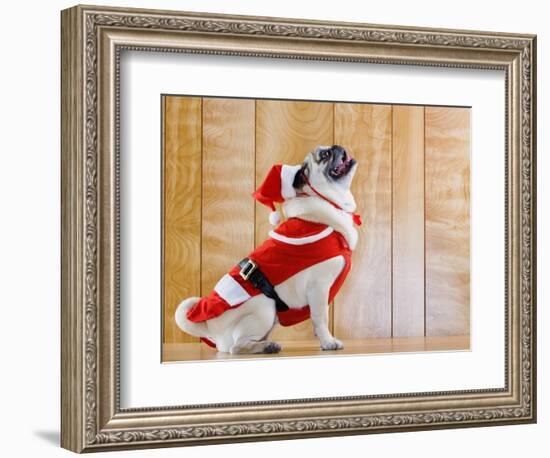 Dog in Santa Suit-Don Mason-Framed Photographic Print