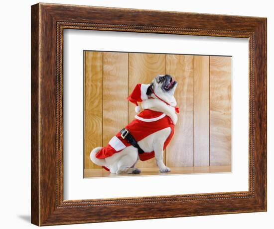 Dog in Santa Suit-Don Mason-Framed Photographic Print