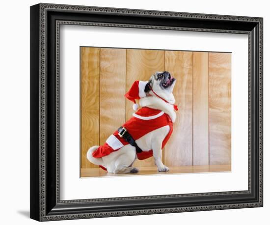 Dog in Santa Suit-Don Mason-Framed Photographic Print