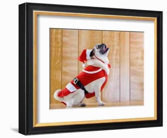 Dog in Santa Suit-Don Mason-Framed Photographic Print